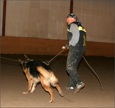 Training in Estonia 11/2007